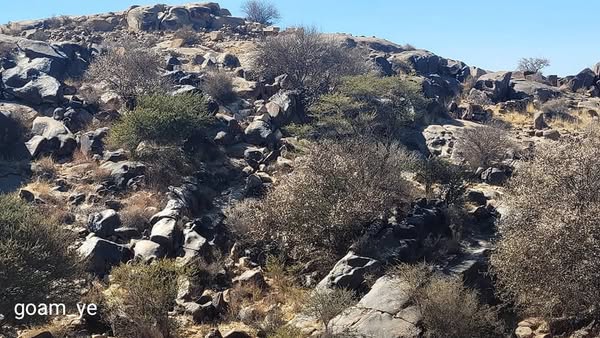 السوادية بمحافظة البيضاء. - صورة إضافية 3